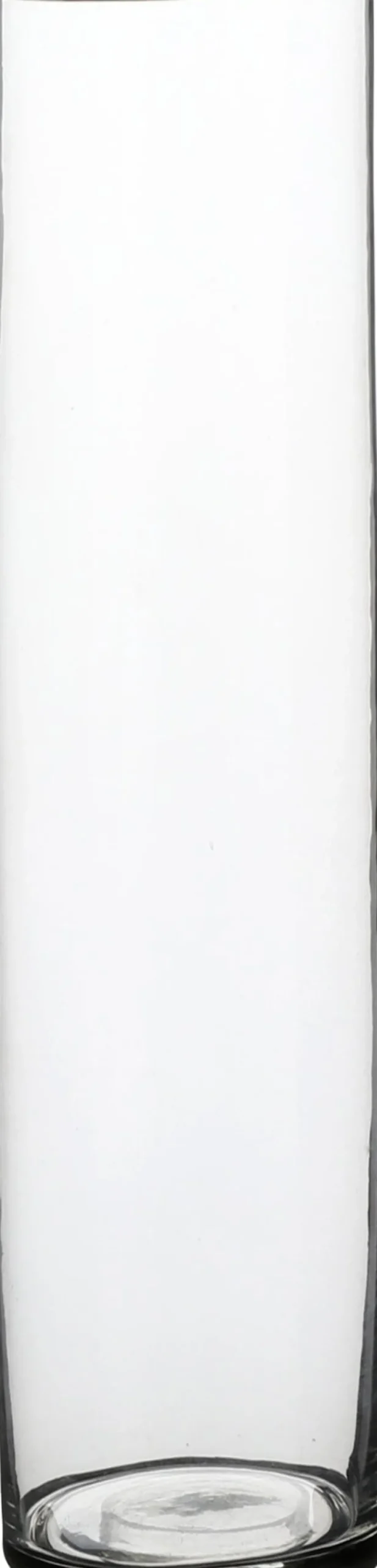Everydays by Intratuin vaas Carly transparant D 9 H 40 cm