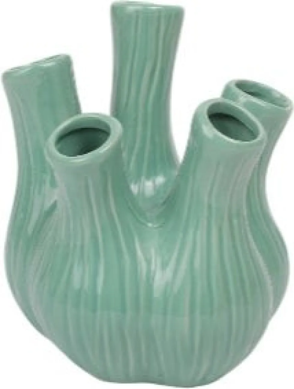 House of Nature tulpenvaas Watrous groen D 17 H 20 cm