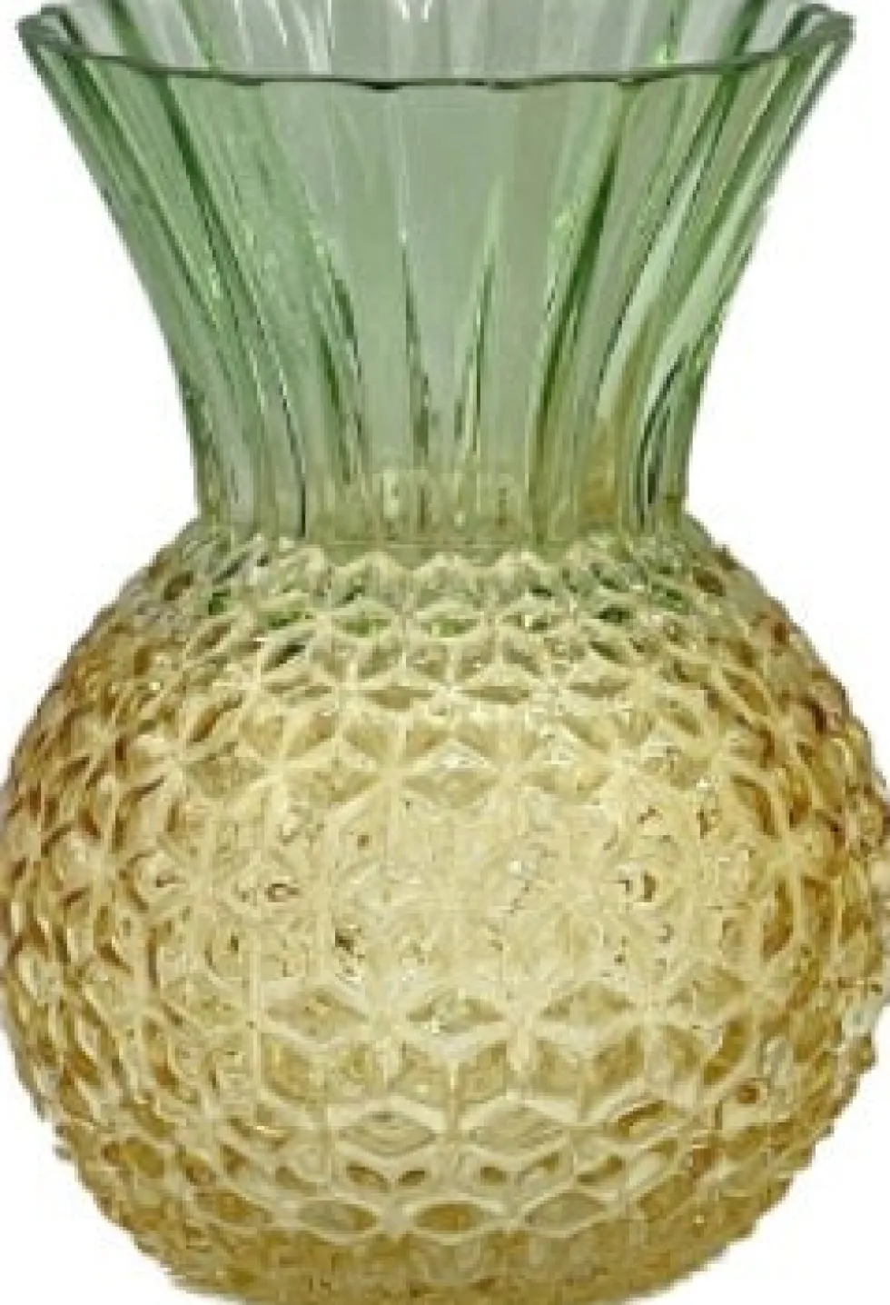 House of Nature vaas Ananas geel / groen D 13 H 18 cm