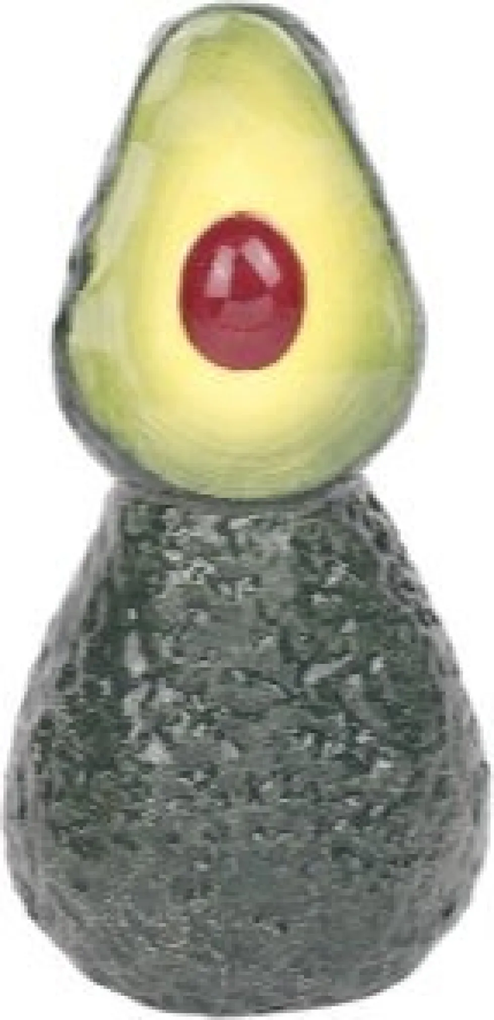House of Nature vaas Avocado groen 10 x 9 x 19 cm