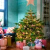 House of Seasons kerstster bruin 65 x 20 x 60 cm