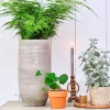 HS bloempot Nagano crème D 19 H 30 cm