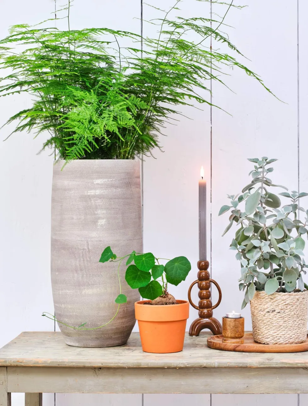 HS bloempot Nagano crème D 19 H 30 cm