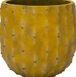 Intratuin bloempot Cactus geel D 34 H 31 cm