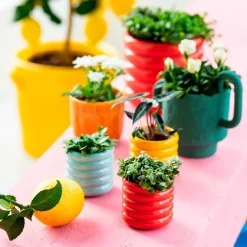 Intratuin bloempot Ilva rood D 7 H 7 cm
