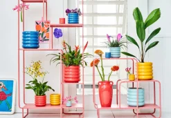 Intratuin bloempot Ilva rood D 7 H 7 cm