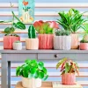 Intratuin bloempot Louva terracotta D 19 H 15 cm