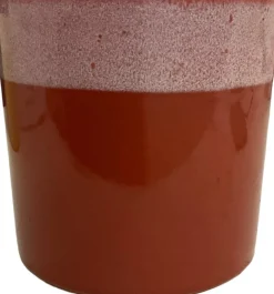Intratuin bloempot Max terracotta D 13 H 13 cm