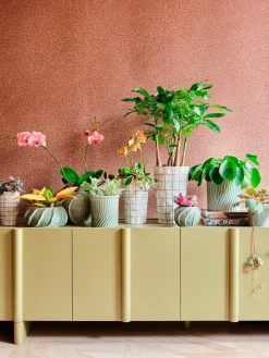 Intratuin bloempot Max wit D 7 H 11 cm