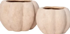 Intratuin bloempot Nature's Harvest beige D 25 H 18 cm
