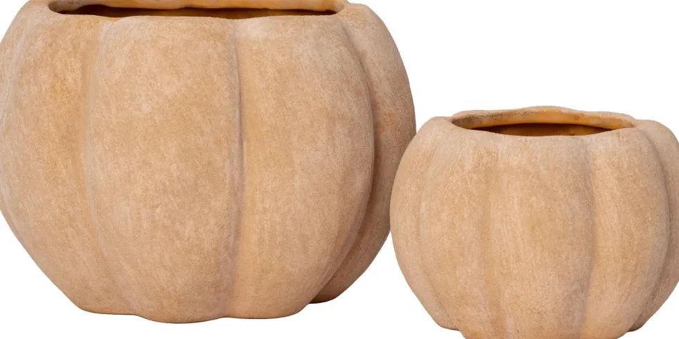 Intratuin bloempot Nature's Harvest terracotta D 17 H 12 cm