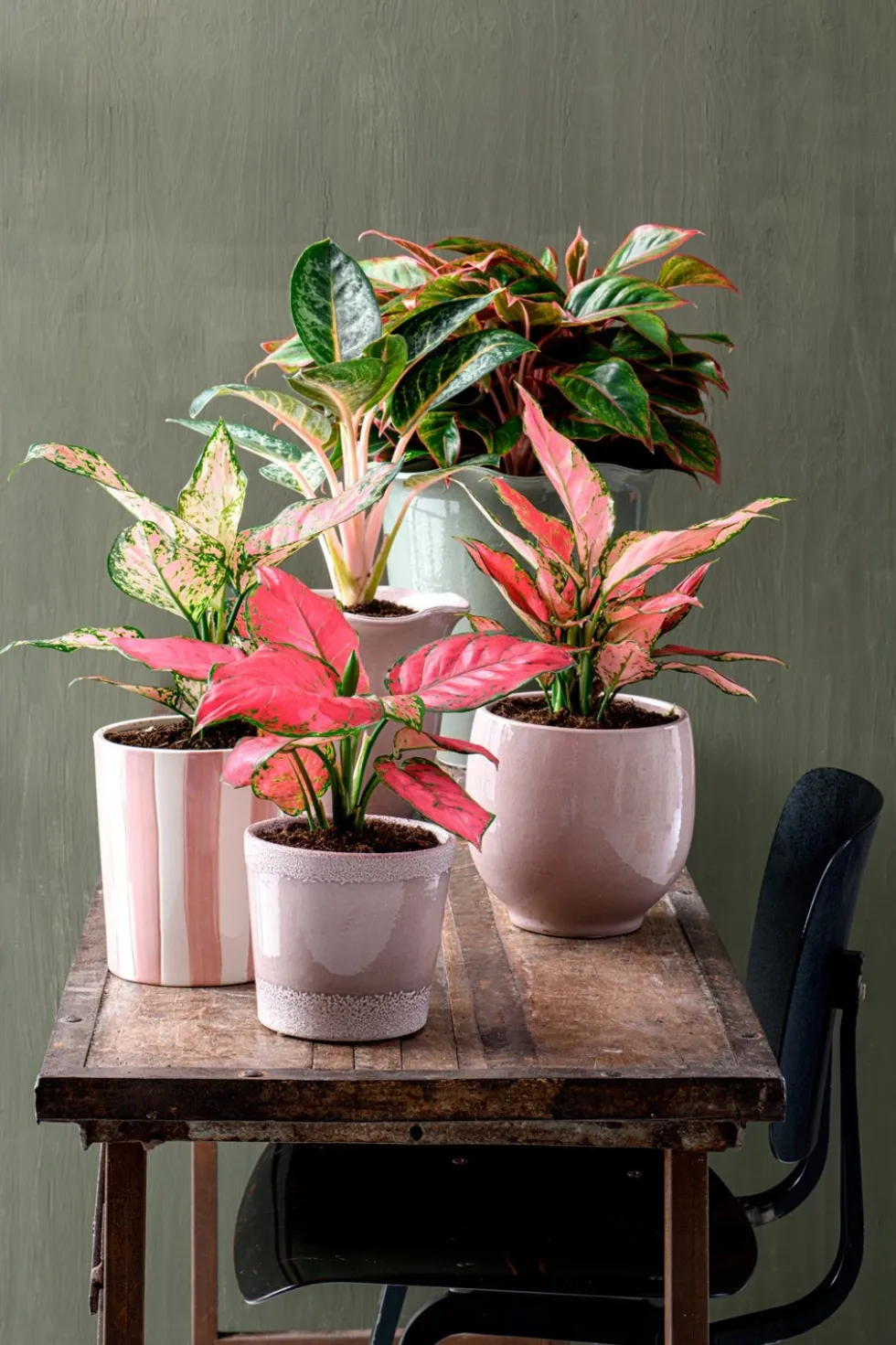 Intratuin bloempot Neve roze D 14 H 12 cm