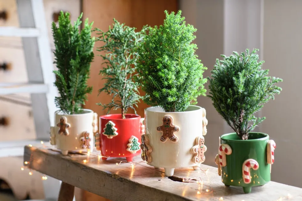 Intratuin bloempot op poten Jiya kerstboom rood D 16 H 15 cm