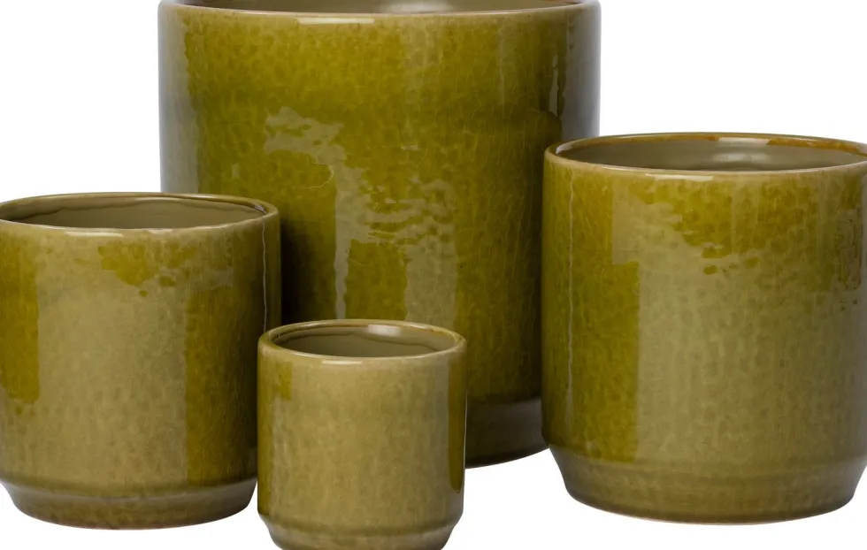 Intratuin bloempot Rijk groen D 8 H 8 cm