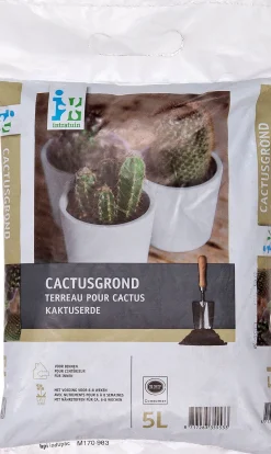 Intratuin cactusgrond 5 L