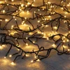 Intratuin clusterverlichting met 1536 lampjes light gold 20 m