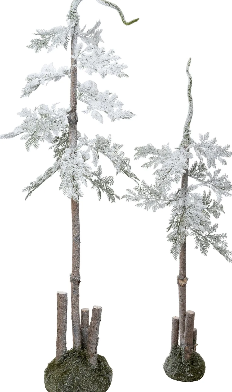 Intratuin decoratieboom op mos wit D 20 H 120 cm