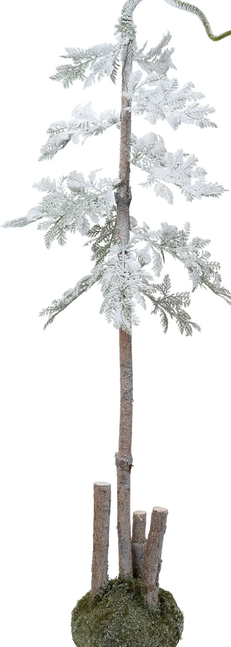 Intratuin decoratieboom op mos wit D 20 H 120 cm