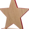 Intratuin decoratie kerstster rood 19 x 4,5 x 20,5 cm