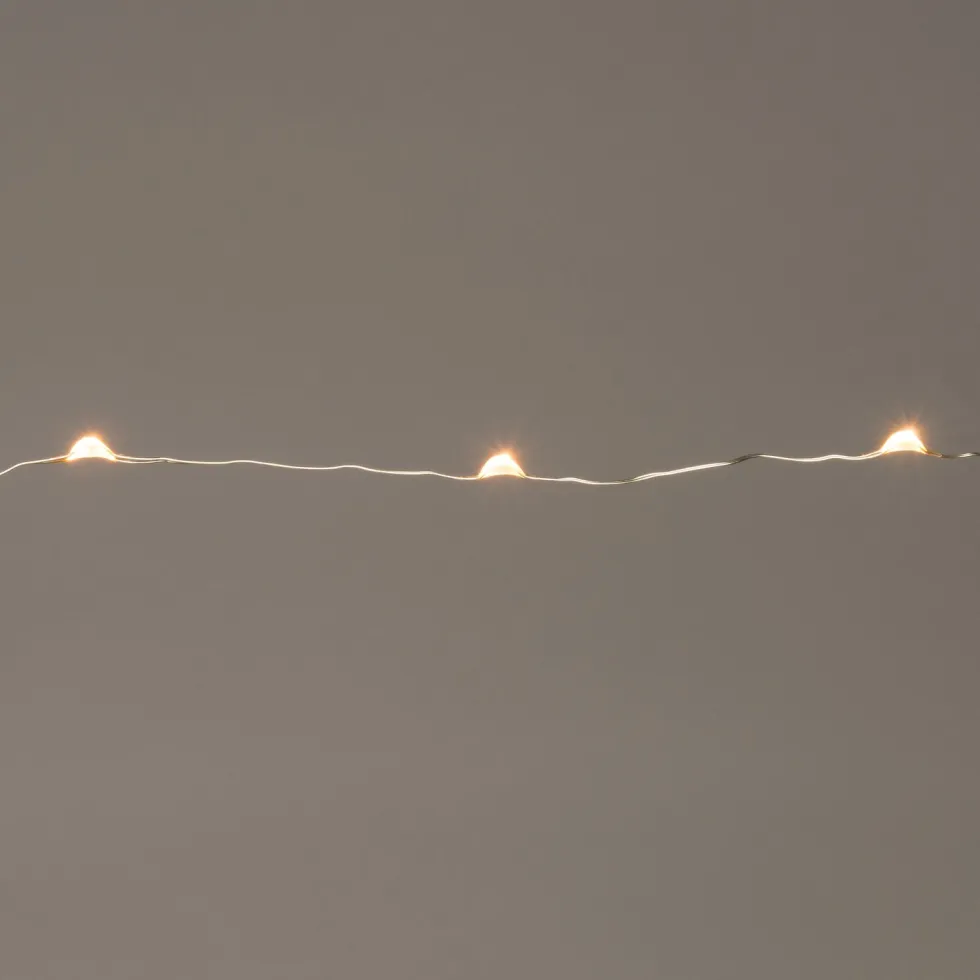 Intratuin draadverlichting zilver 40 lampjes warm white 2 m