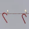 Intratuin draadverlichting zuurstok met 10 lampjes warm wit 1,65 m