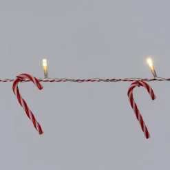 Intratuin draadverlichting zuurstok met 10 lampjes warm wit 1,65 m