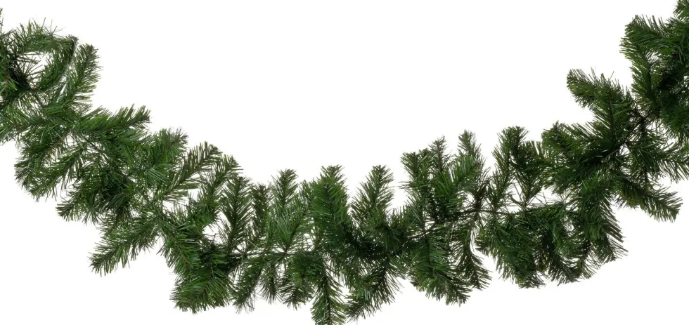 Intratuin guirlande Colorado 274 cm