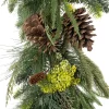 Intratuin guirlande dennenappel 172 cm