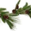 Intratuin guirlande dennenappel 180 cm
