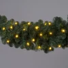 Intratuin guirlande Winterberg blauw met 50 lampjes warm wit 180 cm