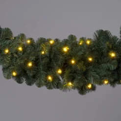 Intratuin guirlande Winterberg blauw met 50 lampjes warm wit 180 cm