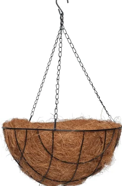 Intratuin hanging basket D 25 cm