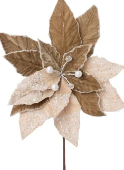 Intratuin kerstbloem Abby bruin 26 cm