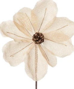 Intratuin kerstbloem Alice beige 18 cm