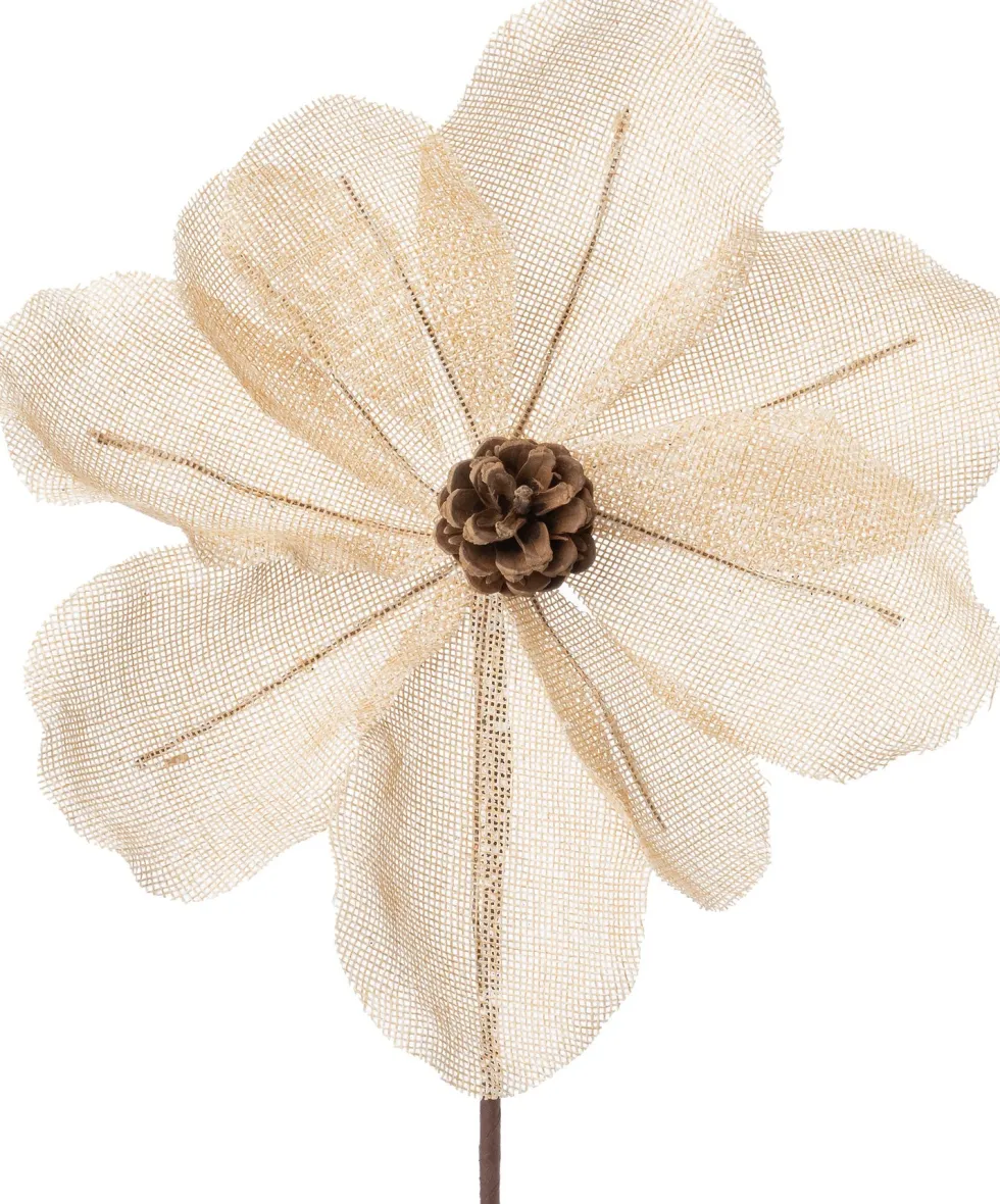 Intratuin kerstbloem Alice beige 18 cm