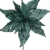 Intratuin kerstbloem Amaze blauw 25 cm