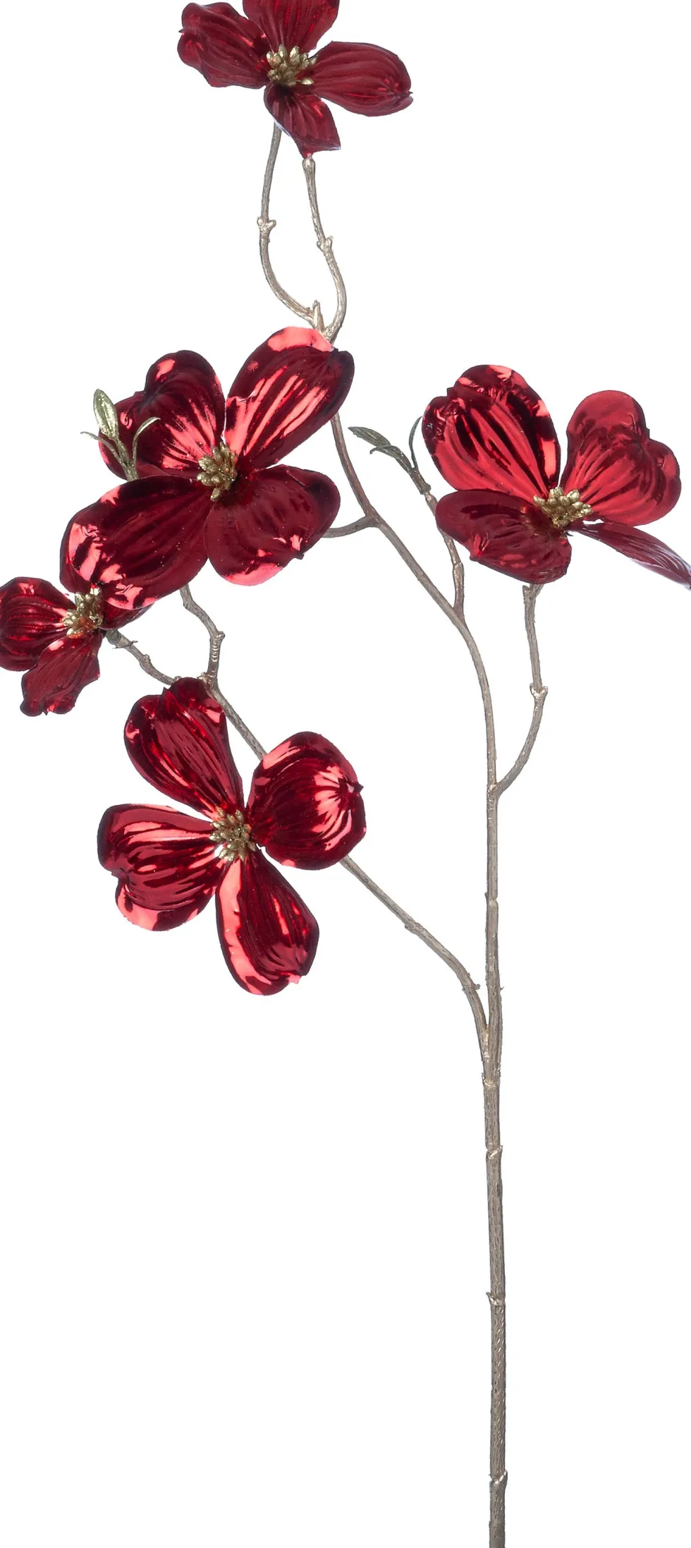 Intratuin kerstbloem Amerikaanse kornoelje rood H 66 cm