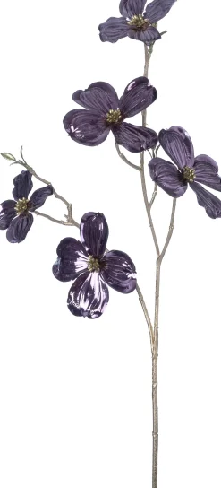 Intratuin kerstbloem Amerikaanse kornoelje paars H 66 cm