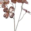 Intratuin kerstbloem Amerikaanse kornoelje roze H 84 cm