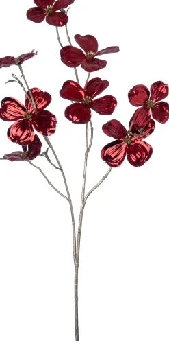 Intratuin kerstbloem Amerikaanse kornoelje rood H 84 cm