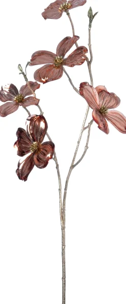 Intratuin kerstbloem Amerikaanse kornoelje roze H 66 cm