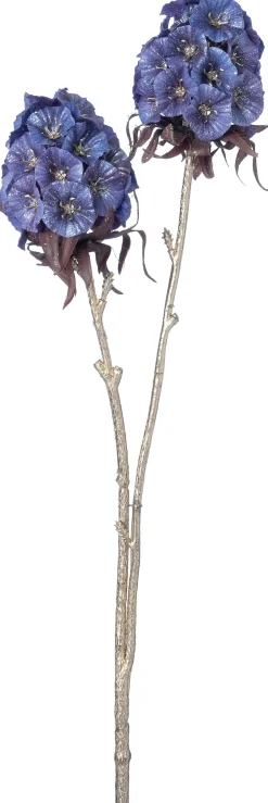 Intratuin kerstbloem Anjer blauw H 48 cm