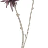 Intratuin kerstbloem Anjer roze H 48 cm