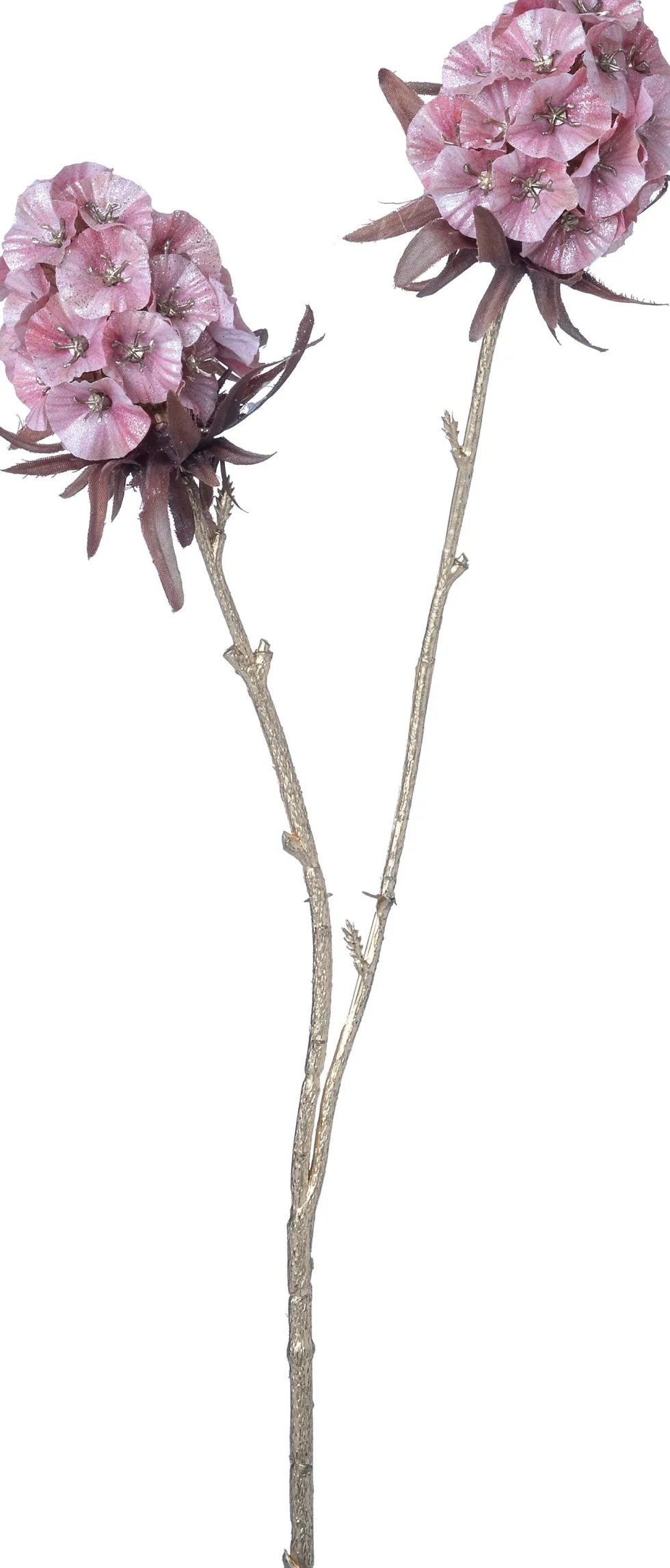 Intratuin kerstbloem Anjer roze H 48 cm