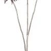 Intratuin kerstbloem Anjer roze H 77 cm