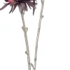 Intratuin kerstbloem Anjer rood H 48 cm