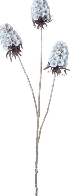Intratuin kerstbloem Anjer wit H 77 cm