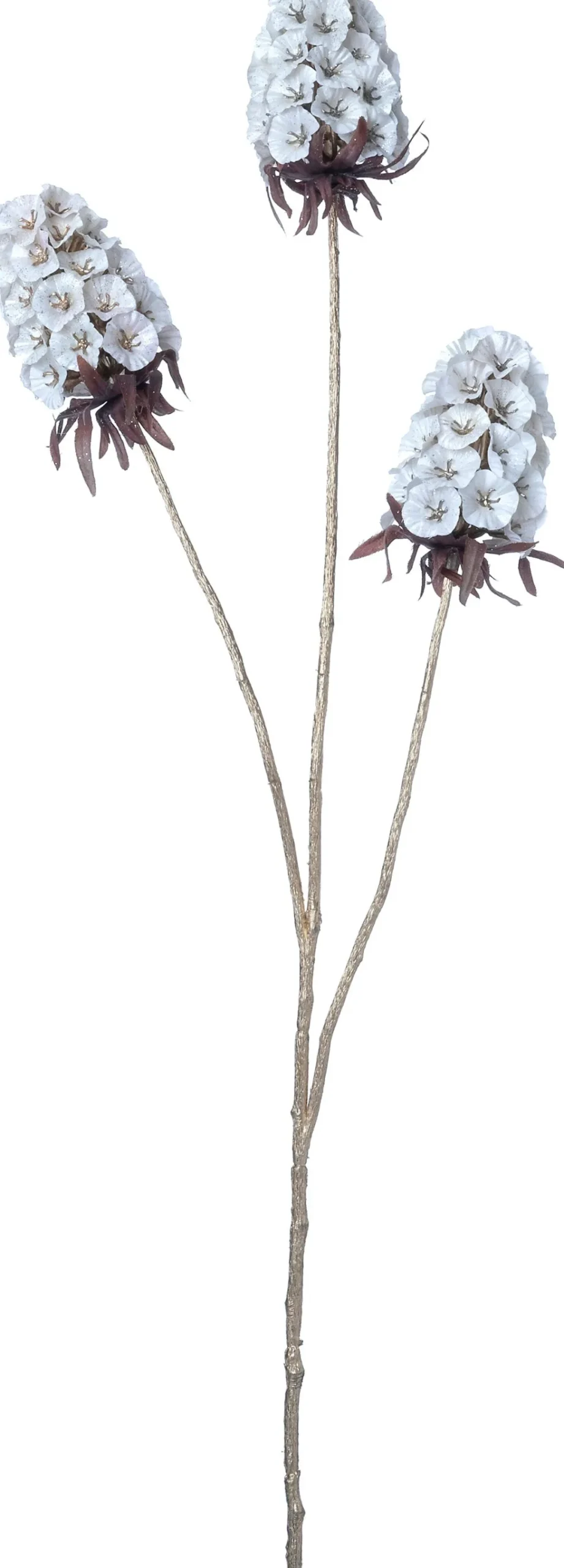 Intratuin kerstbloem Anjer wit H 77 cm