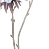 Intratuin kerstbloem Anjer wit H 48 cm
