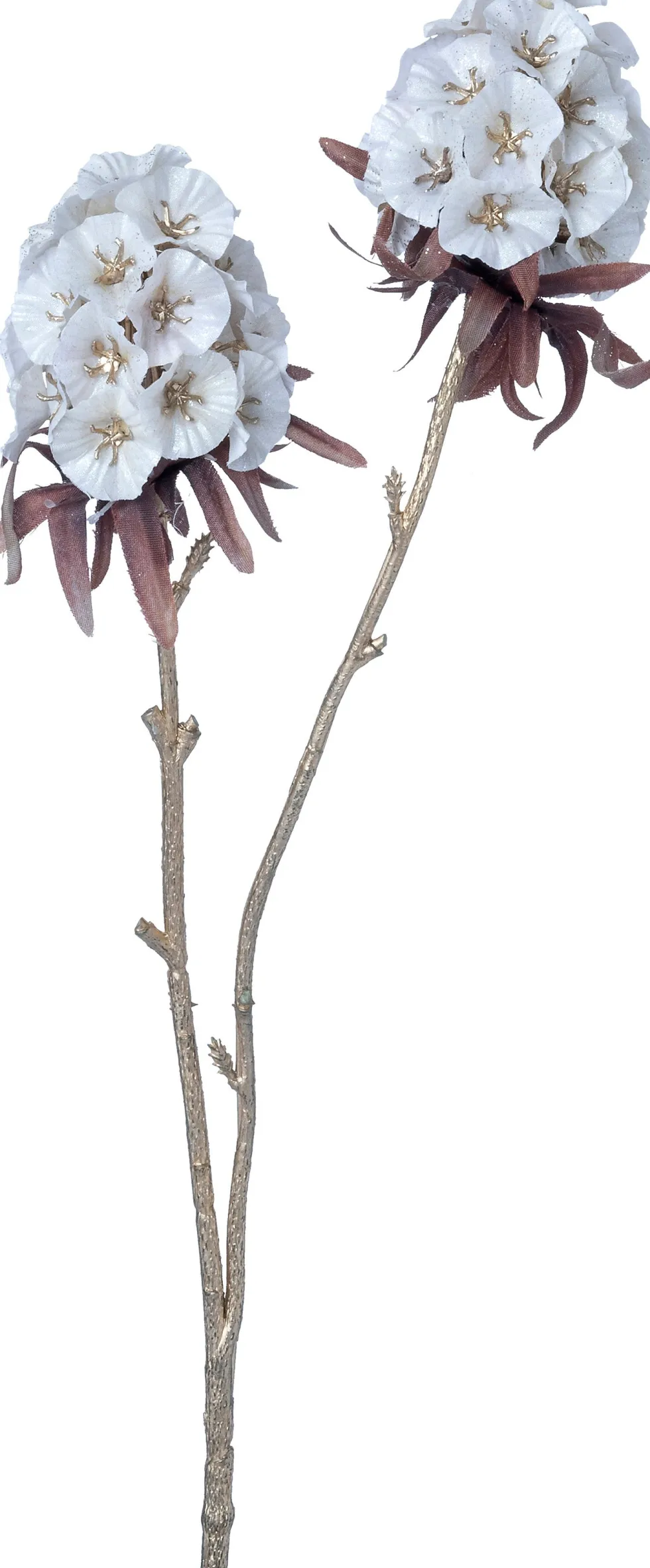Intratuin kerstbloem Anjer wit H 48 cm